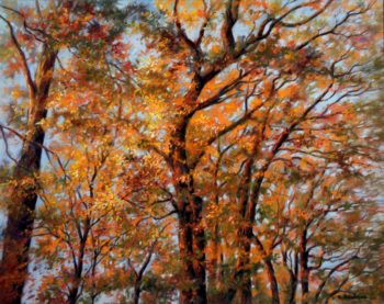 L'automne dans les arbres